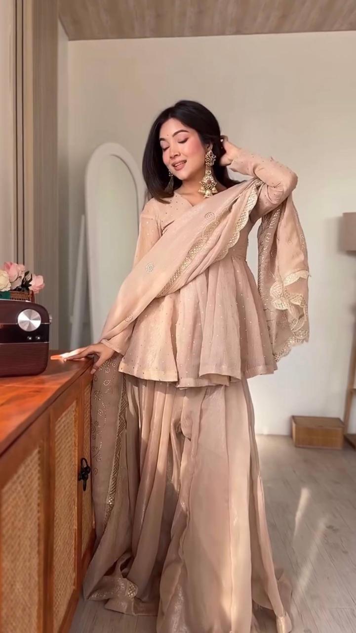 Tabby Organza with Mukaish Work