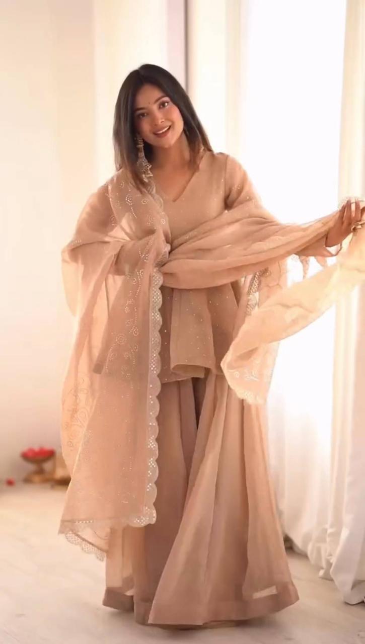 Tabby Organza with Mukaish Work