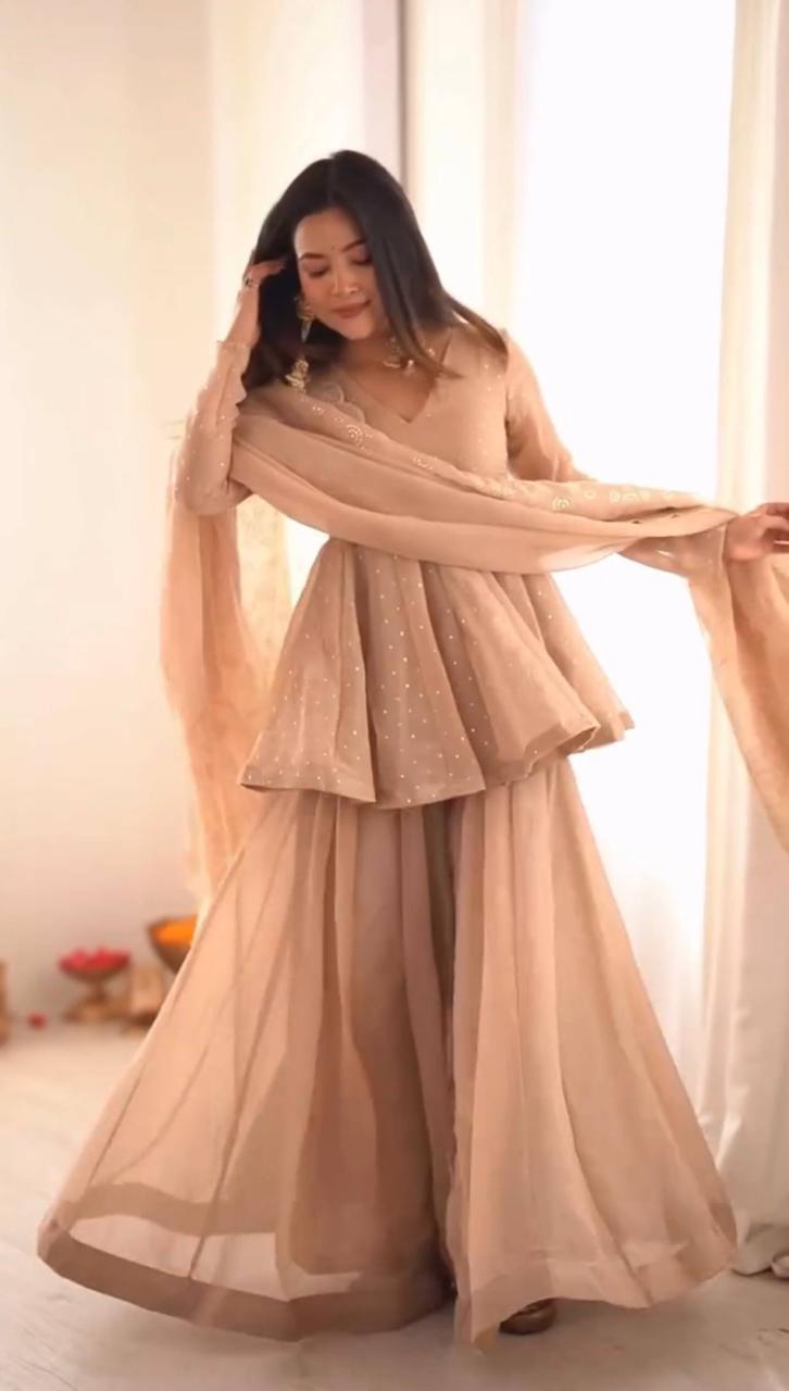 Tabby Organza with Mukaish Work
